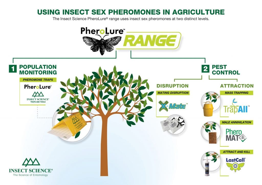 Using insect pest sex pheromones